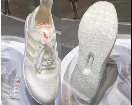 微信图片_20191026153731.jpg
