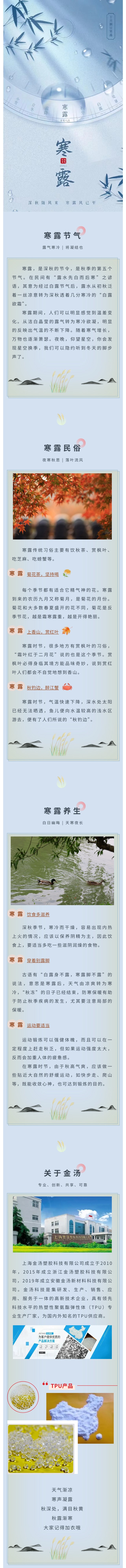 网站.jpg
